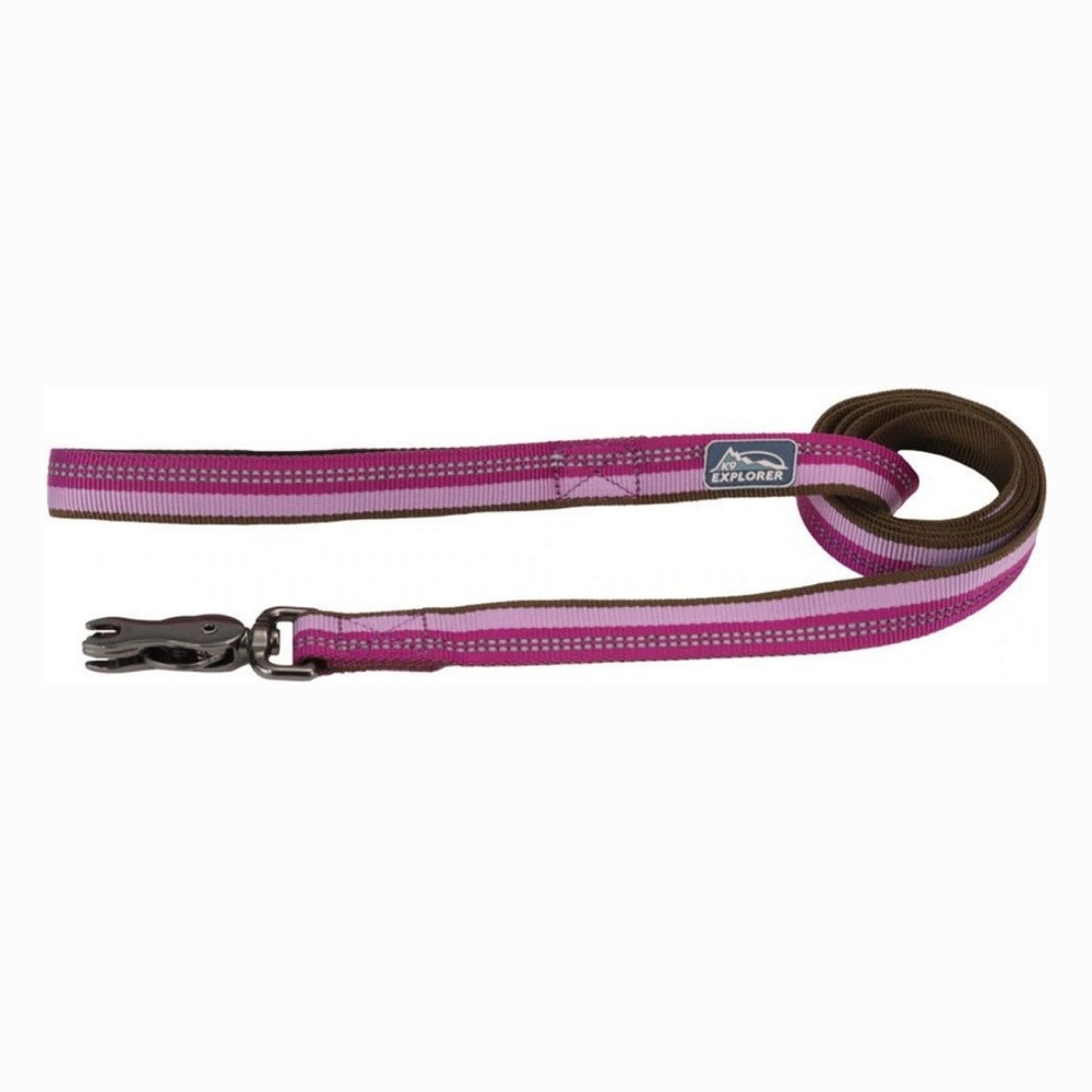 Coastal K9 Explorer Reflective Dog Leash with Scissor Snap, Orchid